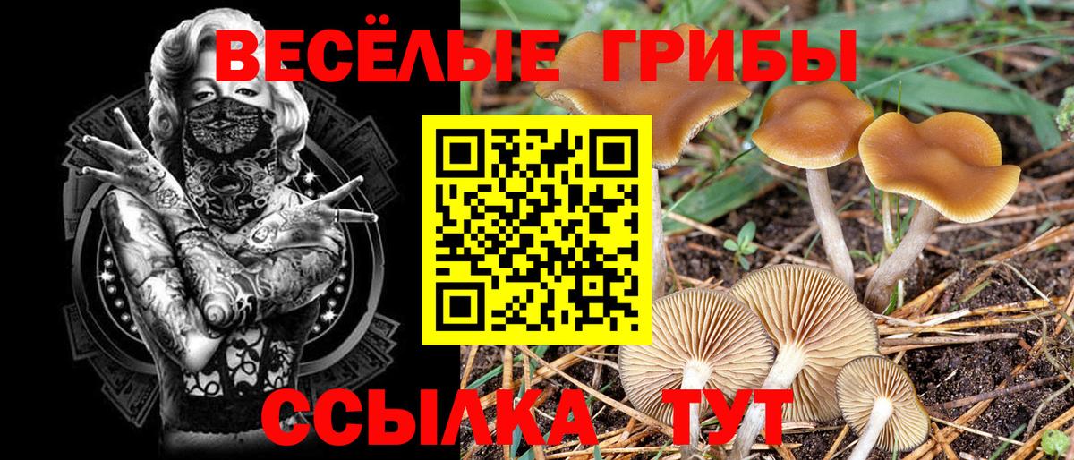 где купить   Галлюциногенные грибы прущие грибы  Вход с VPN  Асбест  Псилоцибиновые грибы мухоморы 