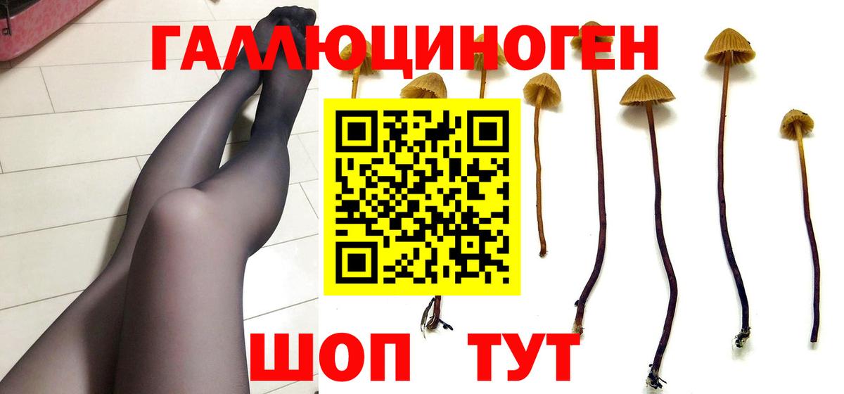 Галлюциногенные грибы Psilocybe Асбест